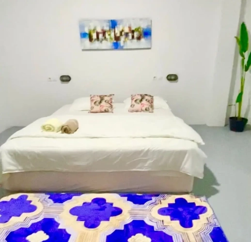 1 Bedroom Deluxe Double room with street view