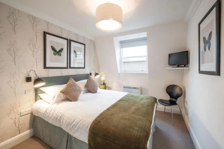 1 Bedroom Apartment