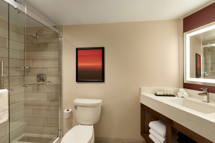 Embassy Suites by Hilton Phoenix Downtown North photo 9