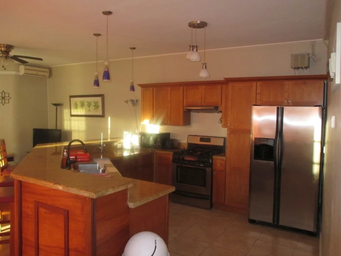 1 Bedroom Deluxe Suite with partial ocean view
