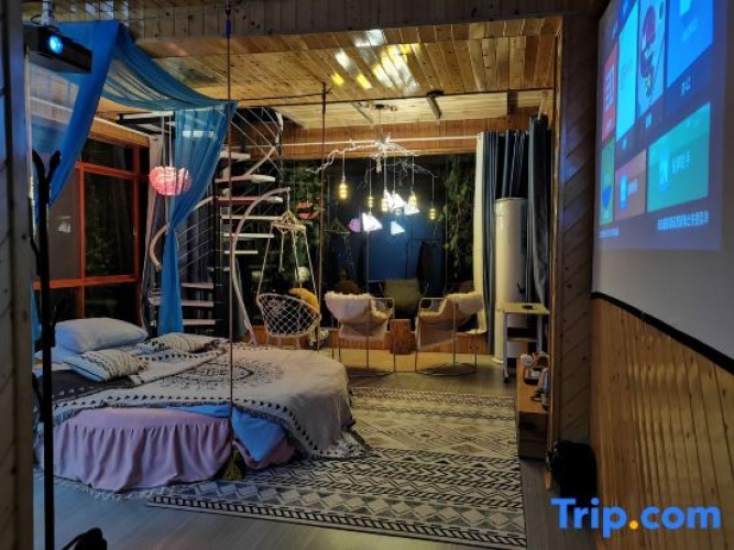 Standard Attic room
