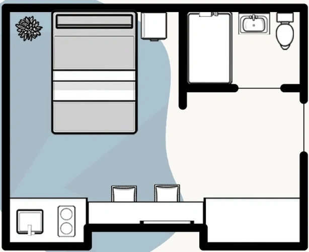 Classic Apartment