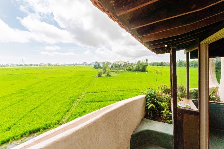 Superior Double room with balcony and with view