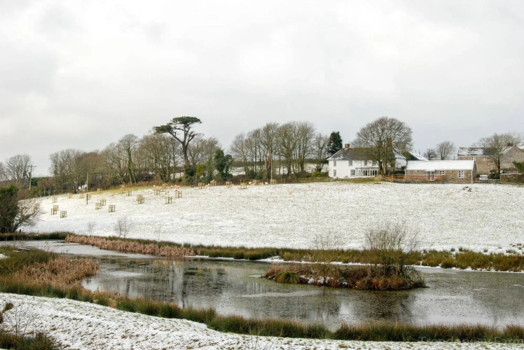 Trenderway Farm