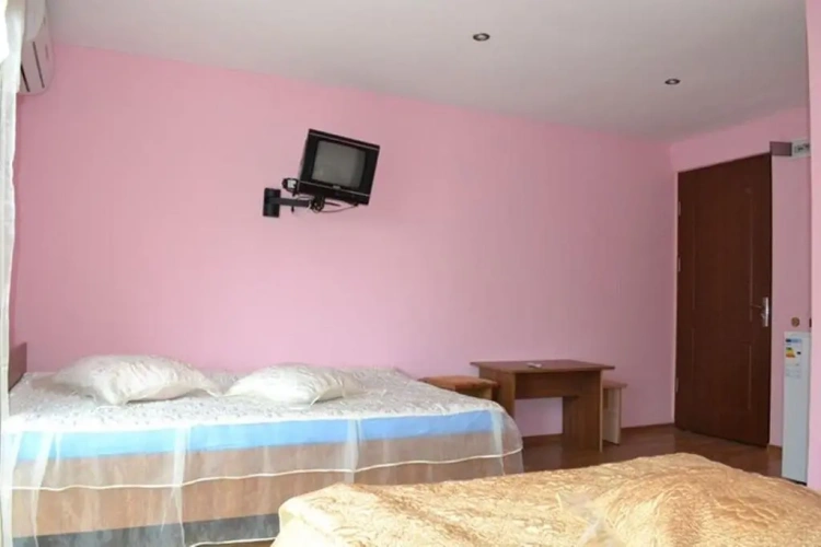 Standard Double room with balcony and with view