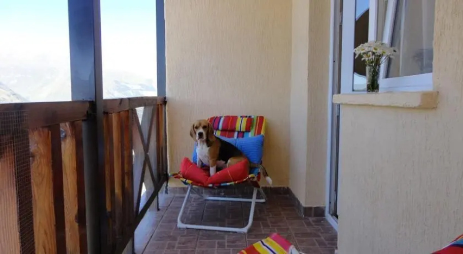 GoGudauri Pent House