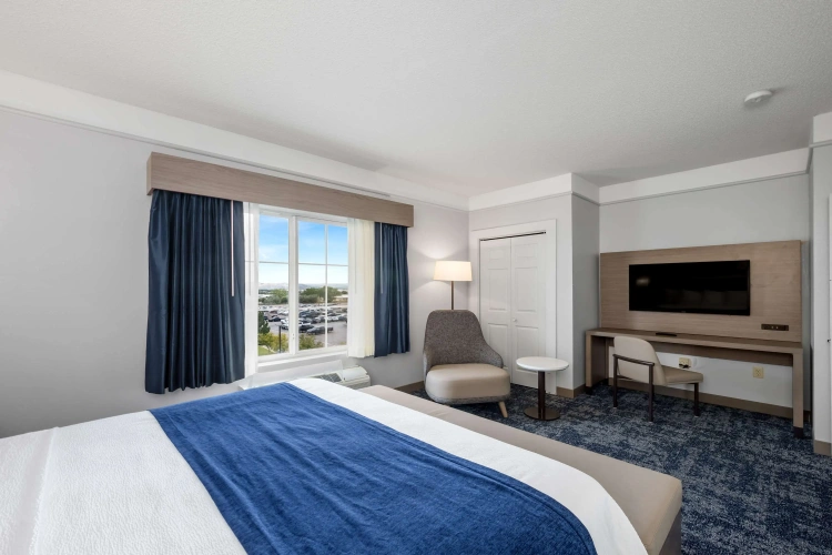 1 Bedroom Double Suite