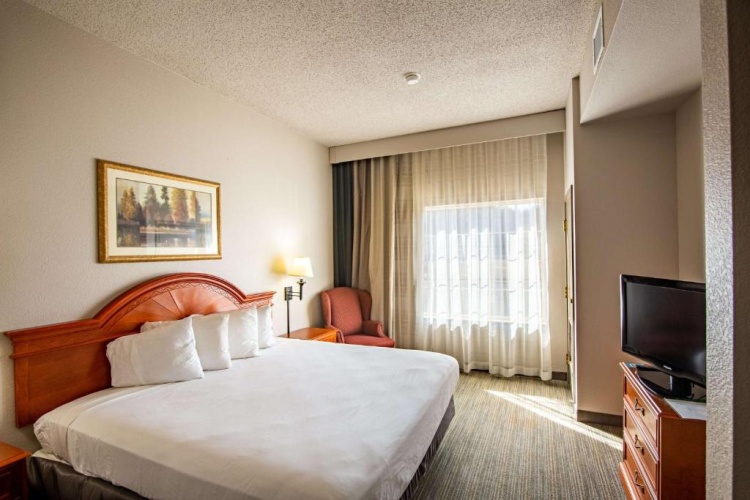 1 Bedroom Double Suite