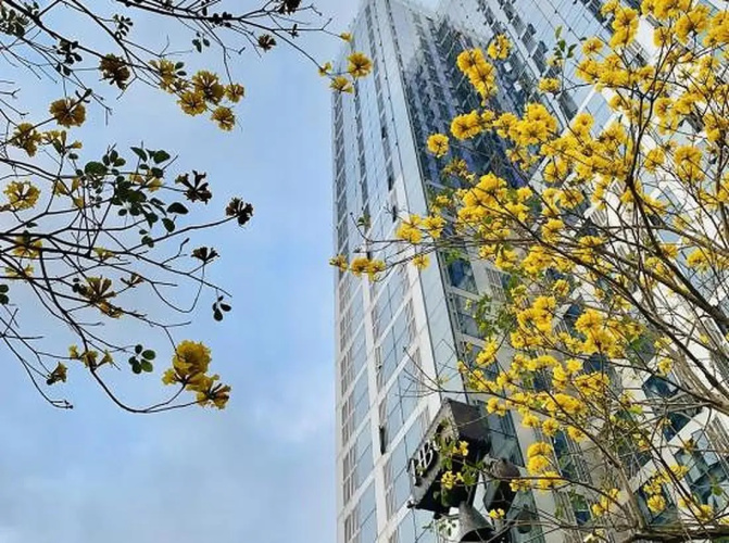 Shenzhen Zhenxin Luxury Apartment