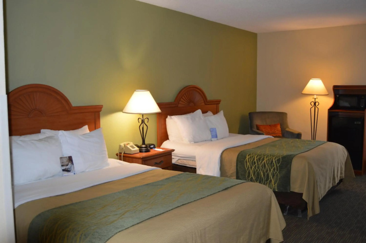 Comfort Inn Pine Grove I-81 Hershey Area