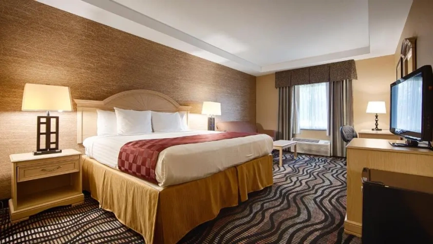 Sextuple Family Suite