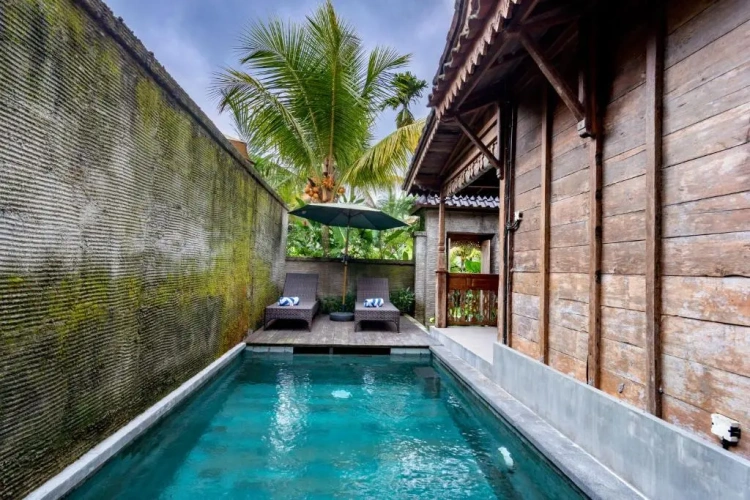 1 Bedroom Double Villa