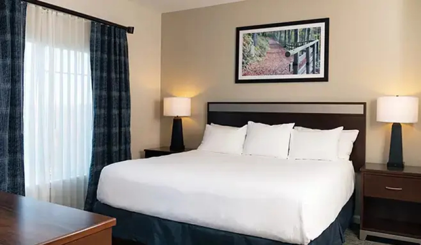 1 Bedroom Suite