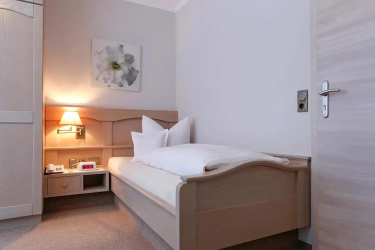 Standard Double room with balcony and with view