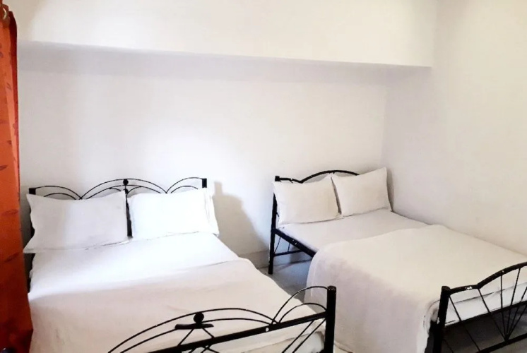 Hotel Mountain View Mount Abu