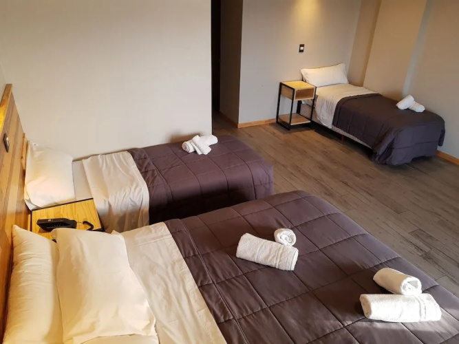 Hotel Ecomax