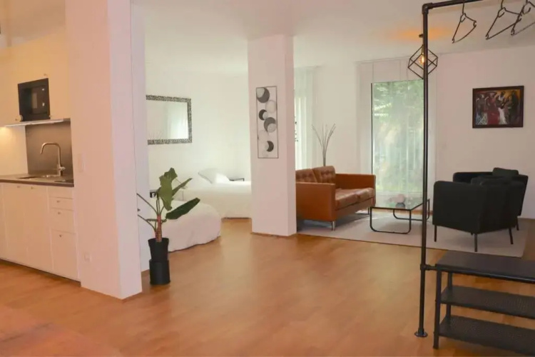 Luxury Design Apartment