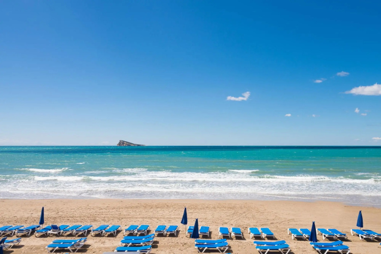 Climia Benidorm Plaza photo 36