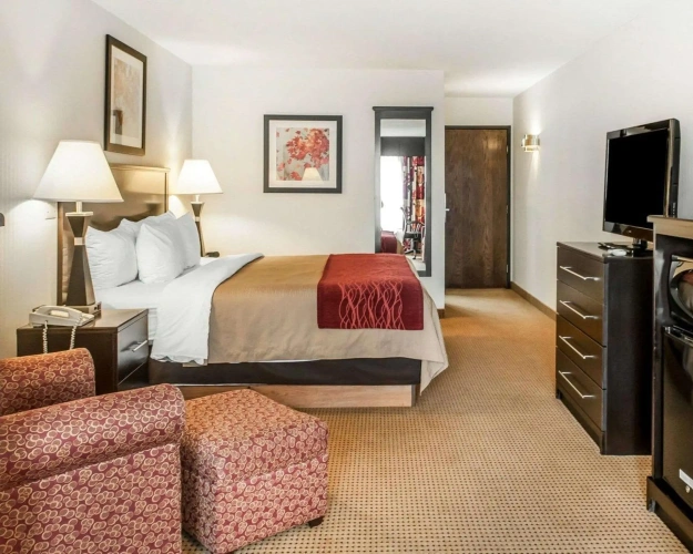 1 Bedroom Suite