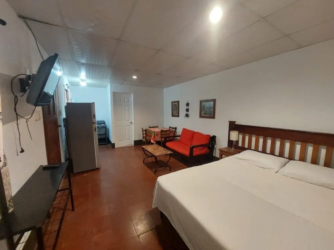 Standard Studio with garden view