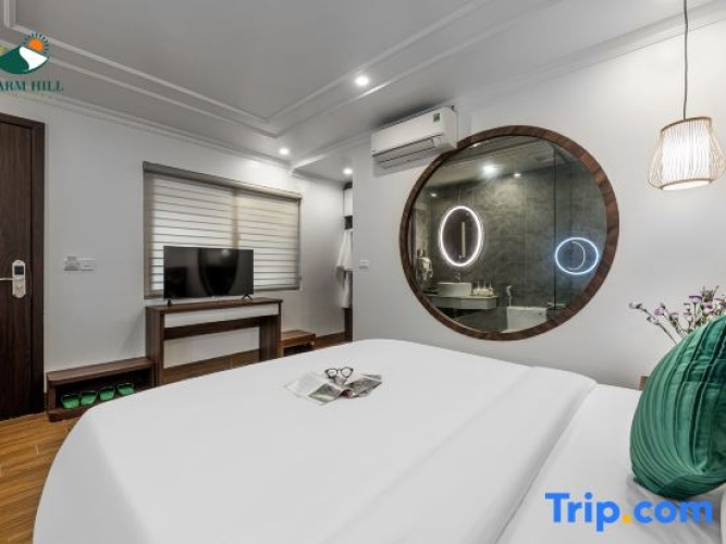 Deluxe Double room with mountain view