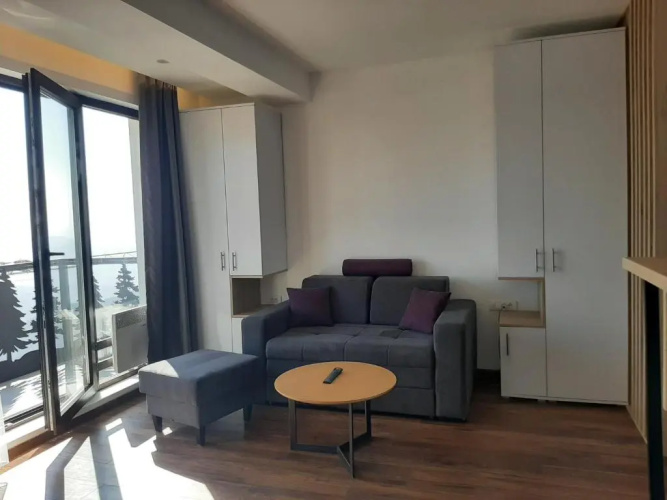 Ariš Kopaonik apartman A21