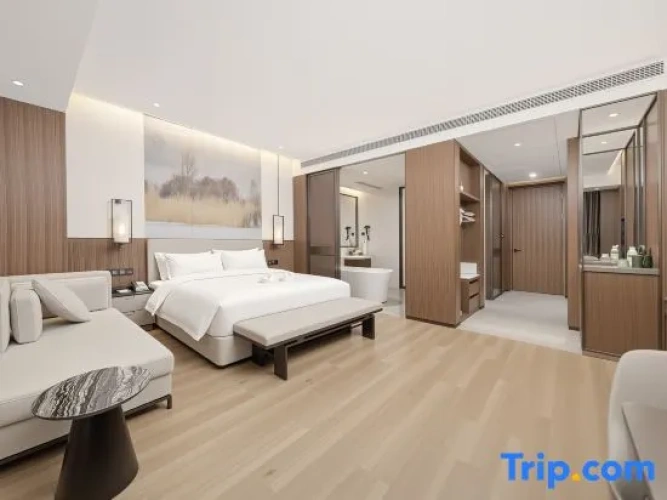 Deluxe Double room with city view