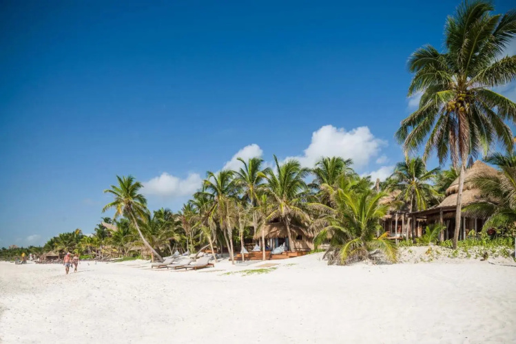 Delek Tulum photo 10