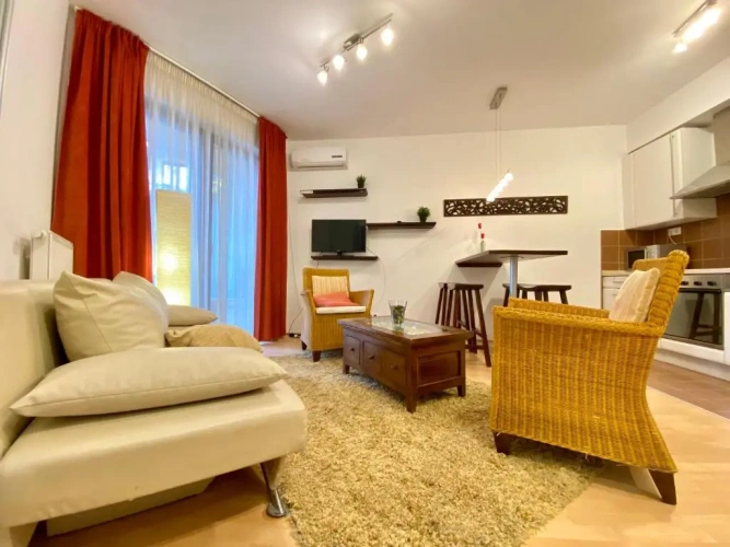 1 Bedroom Apartment