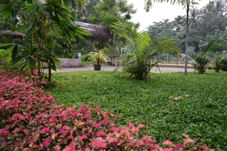 Outside