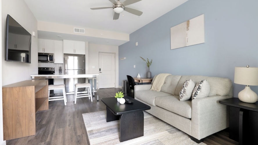 1 Bedroom Apartment