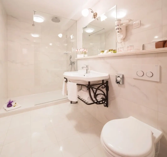 Premium Double room with balcony and with city view