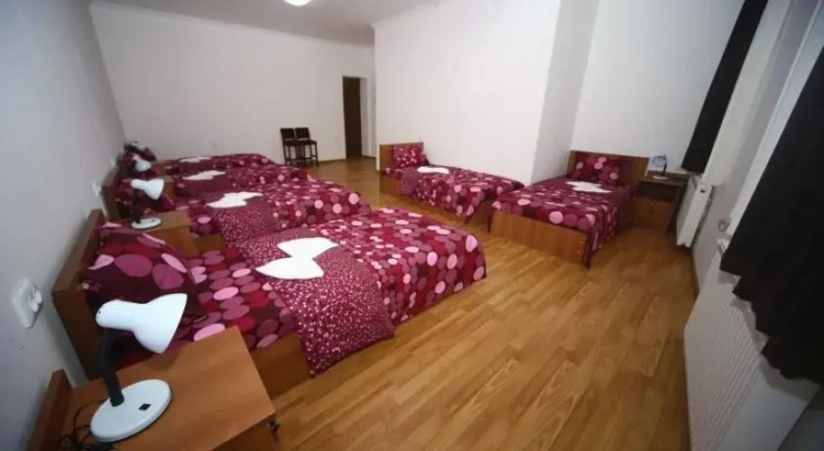 Hostel Lion