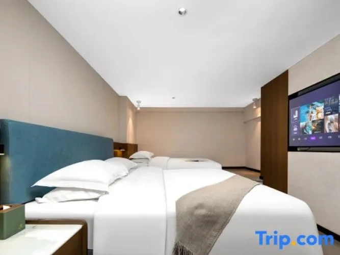 Twin Apartment