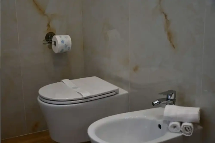 Deluxe Double room with balcony and with mountain view
