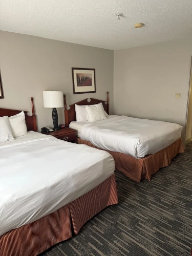 1 Bedroom Suite