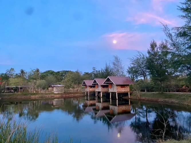 Bungalow