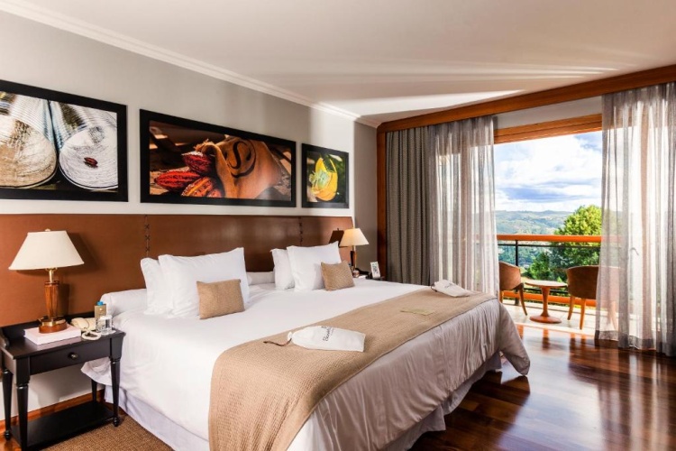 Deluxe Double room with view