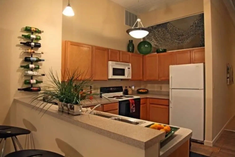 1 Bedroom Standard Apartment