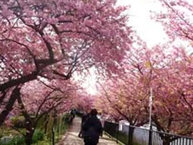 Outside