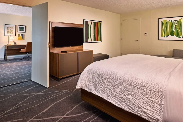 1 Bedroom Suite