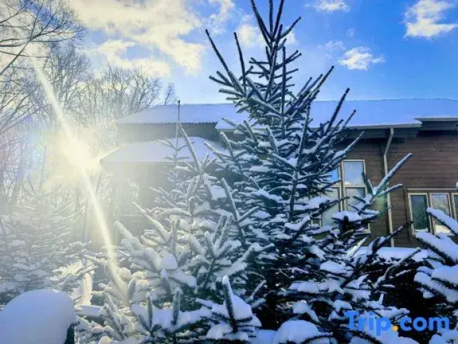 ChangBai Mountain Pine&Birch Villa