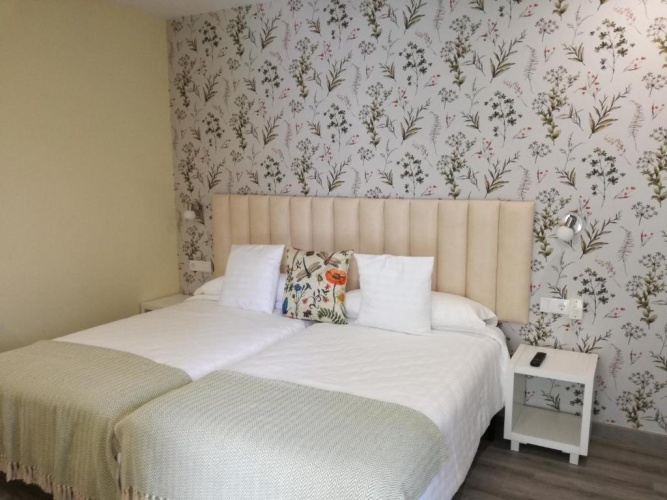 Standard Double room with garden view