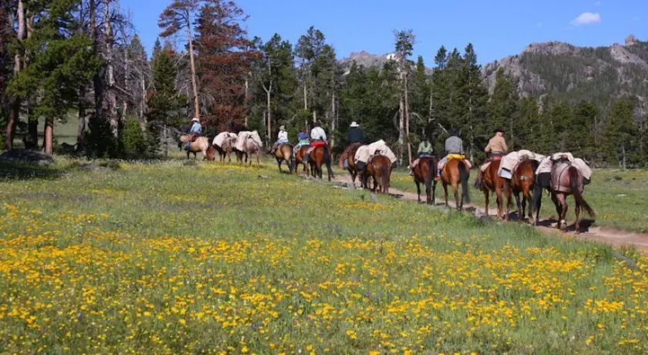 Allen's Diamond 4 Ranch