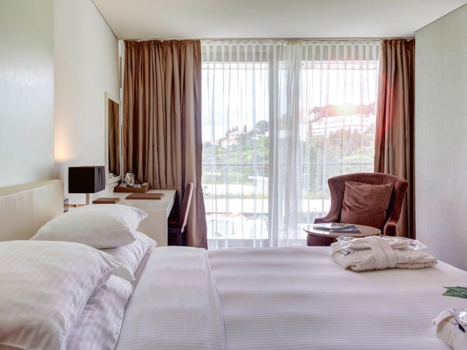 Classic Twin room with park view