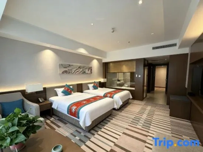 Executive Twin room