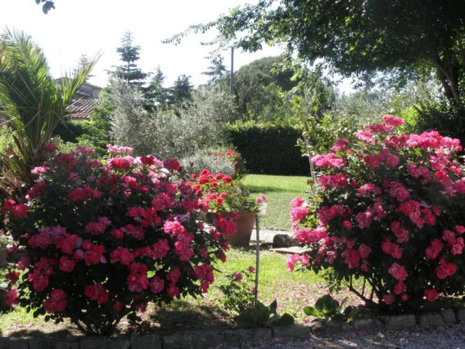 Villa San marco