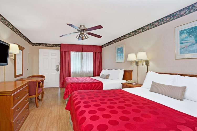 Standard Quadruple room