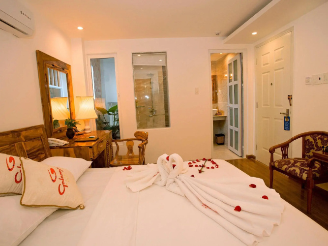 Rex Hotel and Apartment