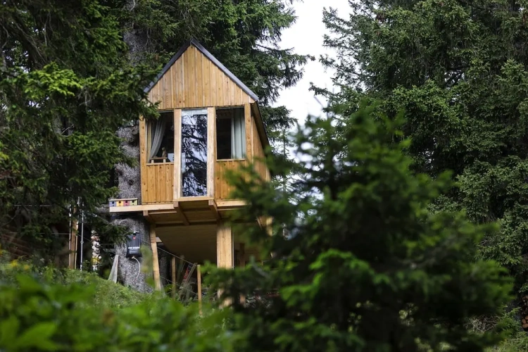 Cottage